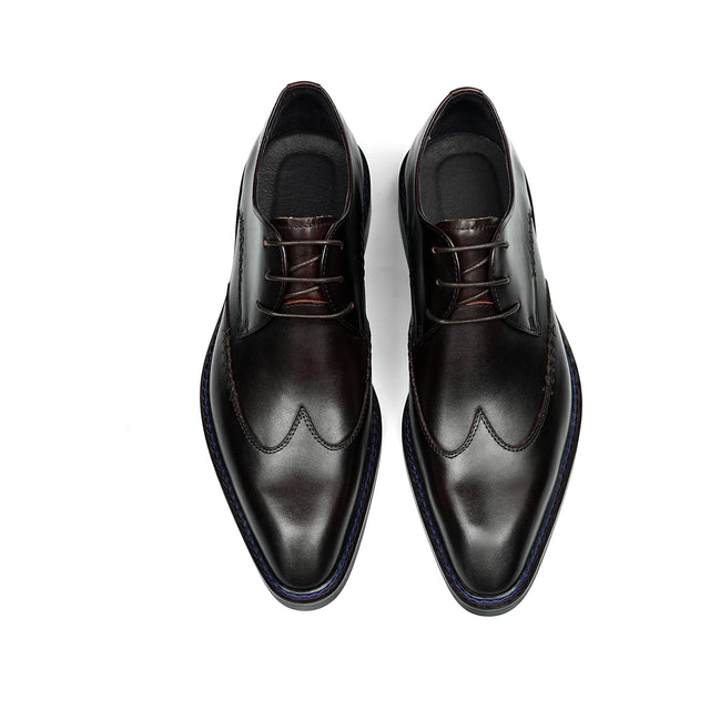 Diamoré Twilight Elegance Brogues