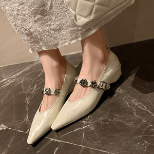 Chic Mary Janes Pointed Toe Strap Shoes