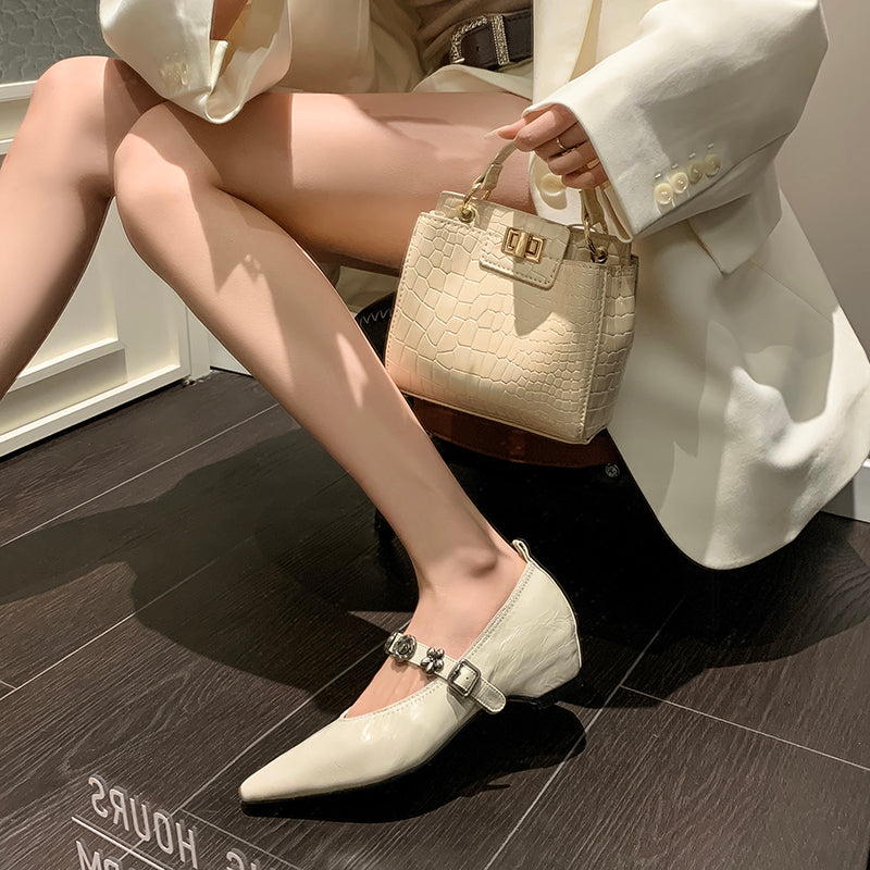 Chic Mary Janes Pointed Toe Strap Shoes