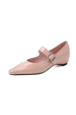 Chic Mary Janes Pointed Toe Strap Shoes