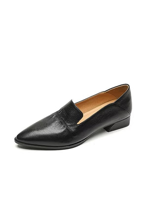 Pointed Grace Leather Flats