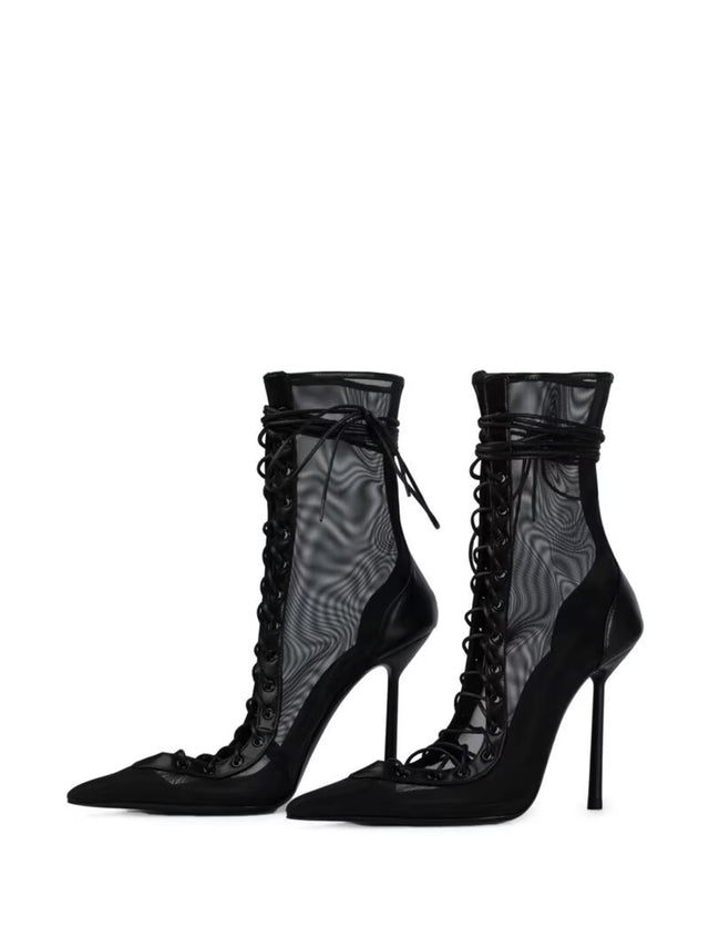 Stelaria Star Heels