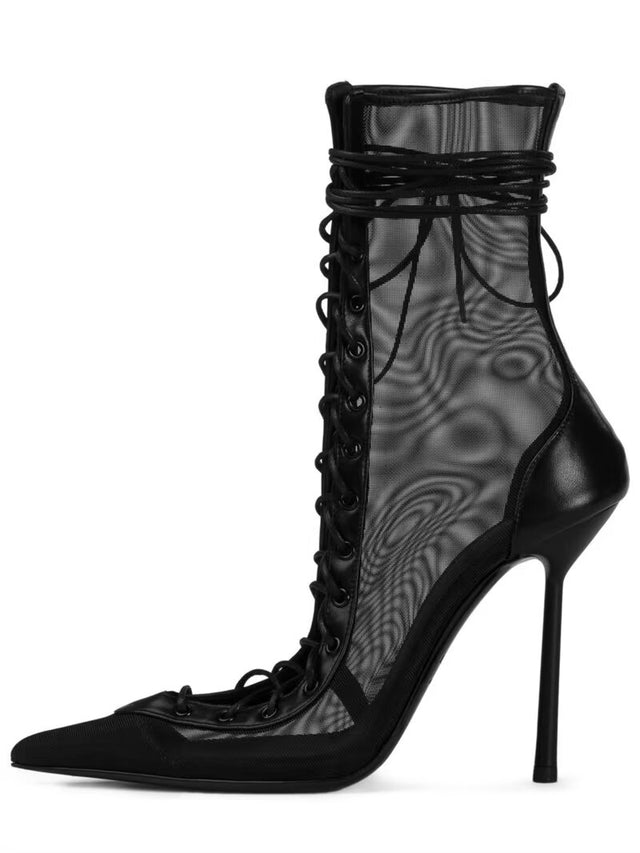 Stelaria Star Heels