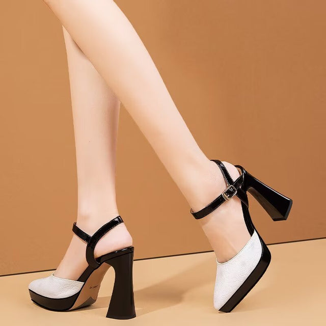 Sleek-luxe Elevated Orbit Step