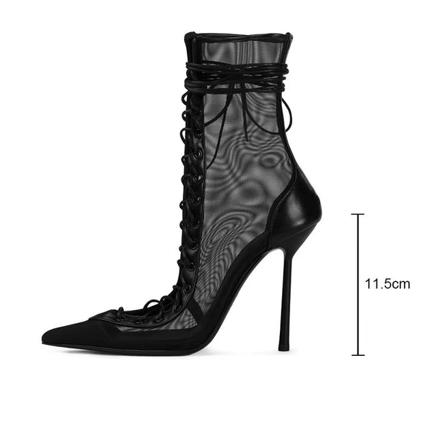 Stelaria Star Heels