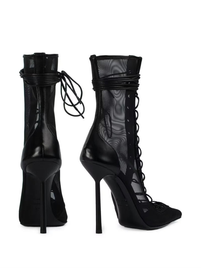 Stelaria Star Heels