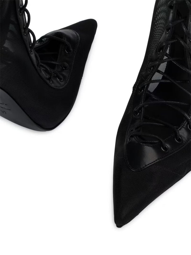 Stelaria Star Heels
